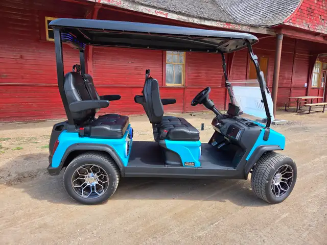 ! only 2025 D5 Golf Cart with 2000$ 2025 Factory Discount - Photo 6