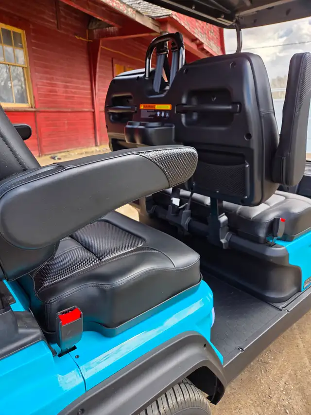 ! only 2025 D5 Golf Cart with 2000$ 2025 Factory Discount - Photo 9