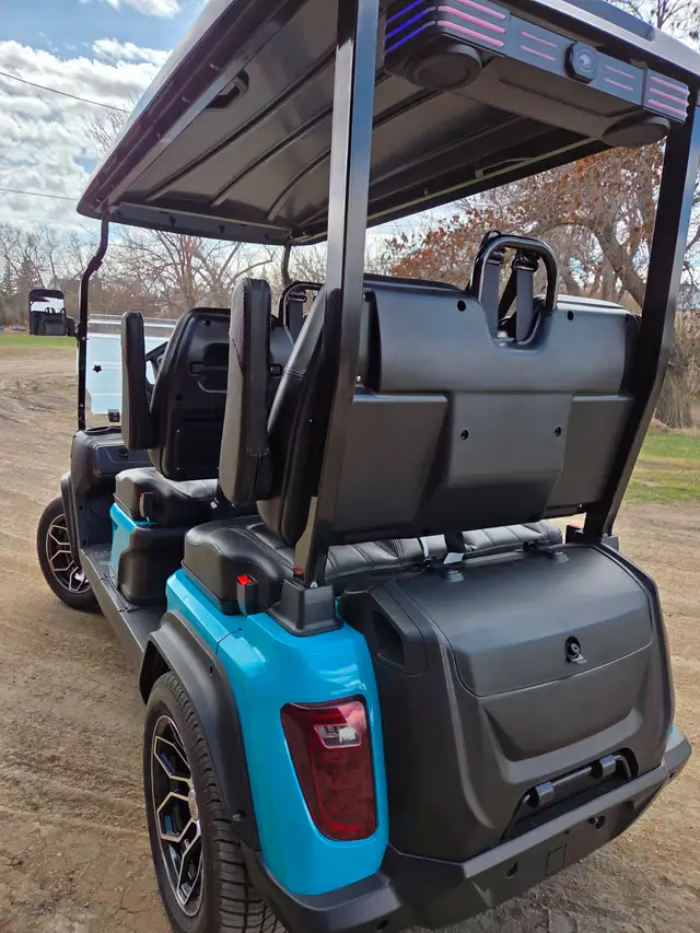 ! only 2025 D5 Golf Cart with 2000$ 2025 Factory Discount - Photo 10