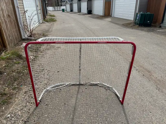 hockey net