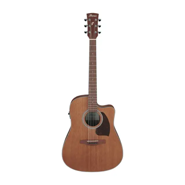 Ibanez PF54CE Acoustic Electric 6 String Guitar Open Pore Nat - Photo 2