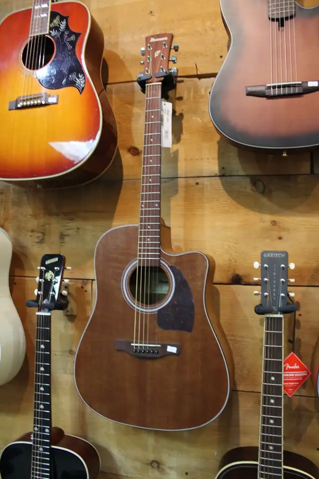 Ibanez PF54CE Acoustic Electric 6 String Guitar Open Pore Nat - Photo 3