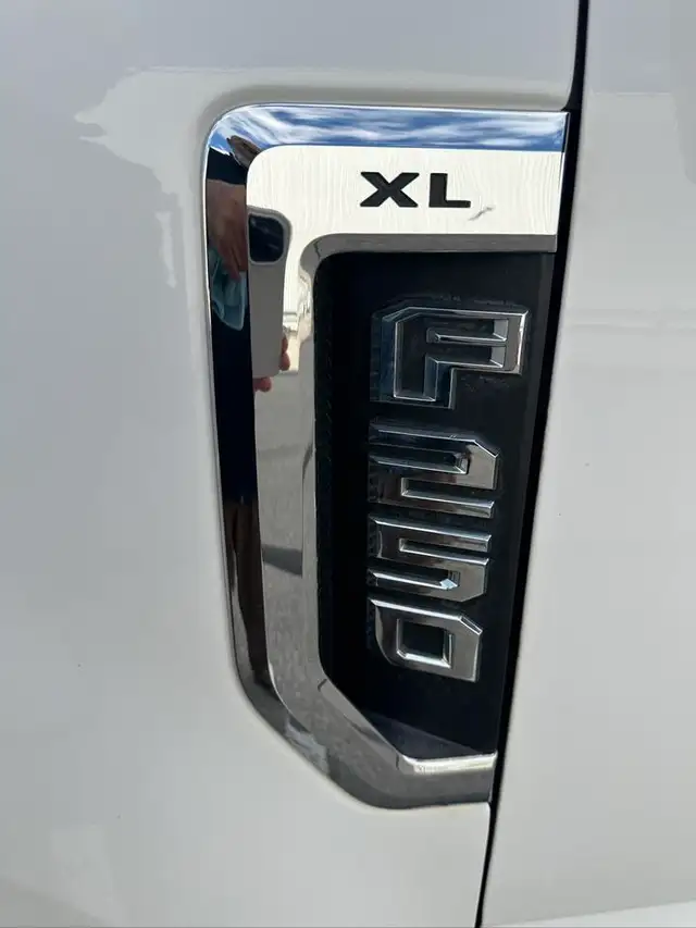 2019 Ford Super Duty F-250 SRW XL Regular Cab 4WD 8 Ft Box - Mor - Photo 16