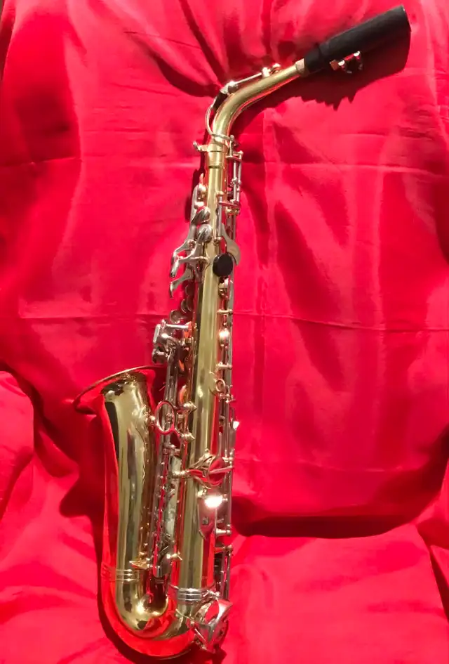 Saxophone Alto DIPLOMATE - Photo 2