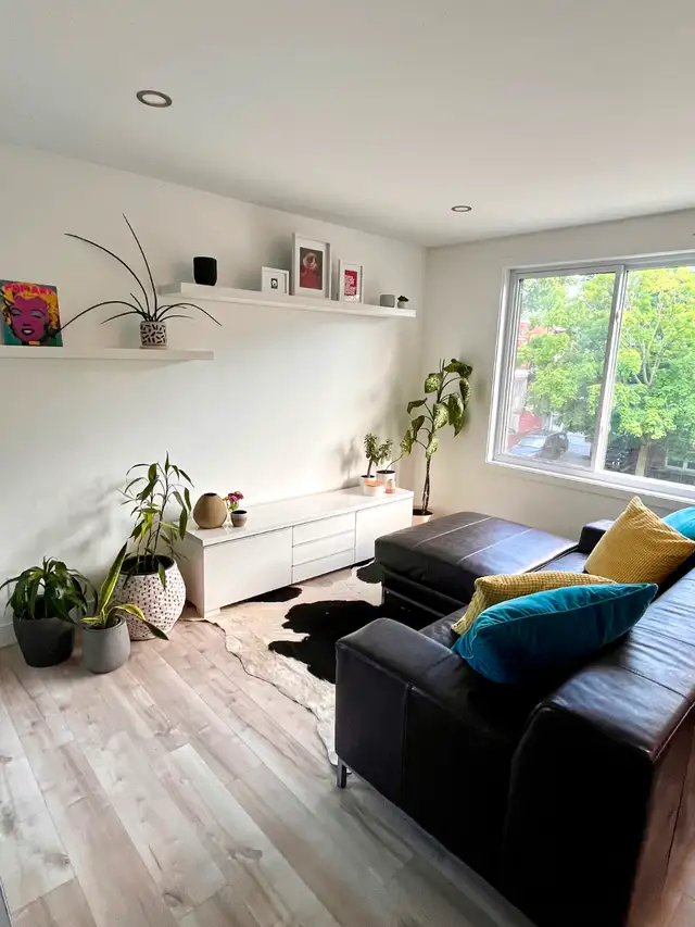 3 1/2 meublé lumineux haut de gamme Rosemont - Photo 11