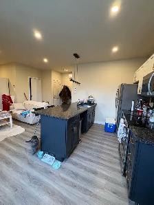 Studios:• $995/month• $1,049/month-Greenfield Park – South Shore - Photo 4