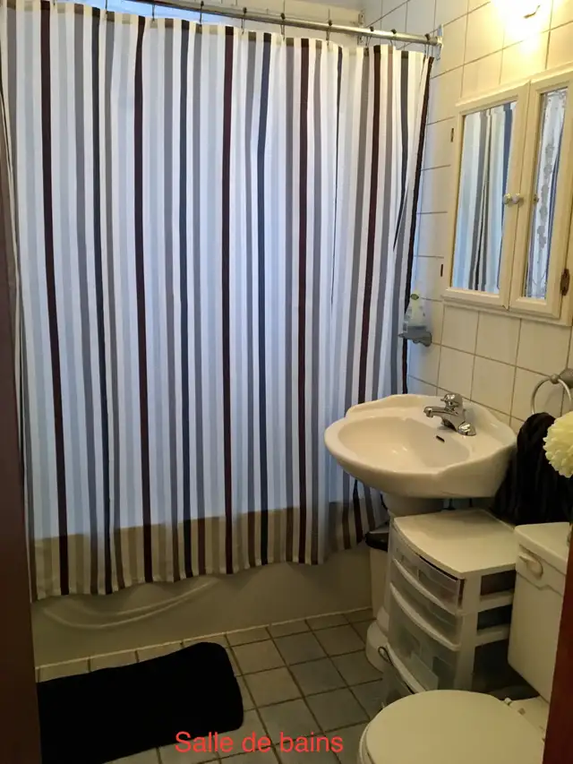 N.D.G. NDG, 3-1/2 totalement renove, condo style 800pc. Juillet - Photo 7