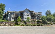Spacious one-bedroom condo for rent in Aldergrove