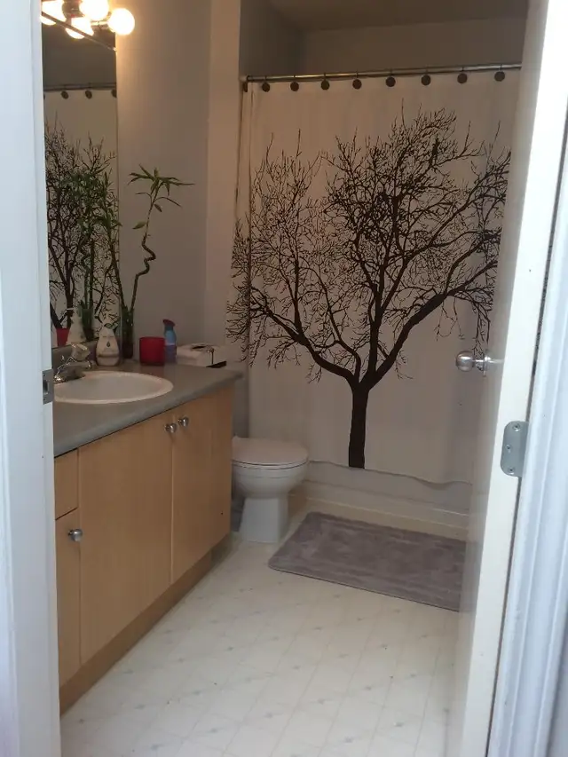 Spacious one-bedroom condo for rent in Aldergrove - Photo 2
