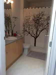 Spacious one-bedroom condo for rent in Aldergrove - Photo 2