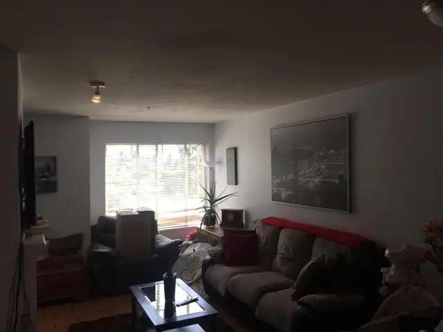 Spacious one-bedroom condo for rent in Aldergrove - Photo 3