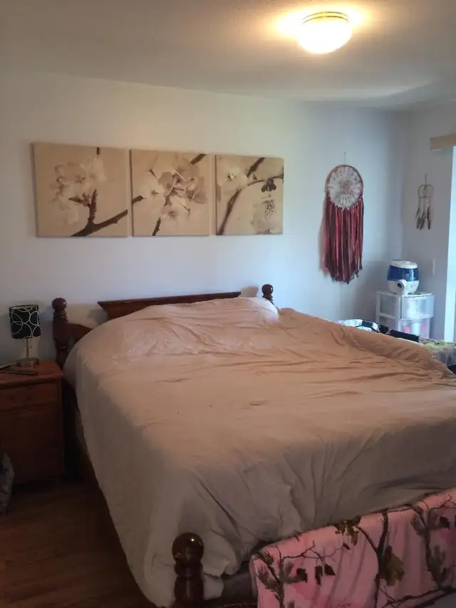 Spacious one-bedroom condo for rent in Aldergrove - Photo 4