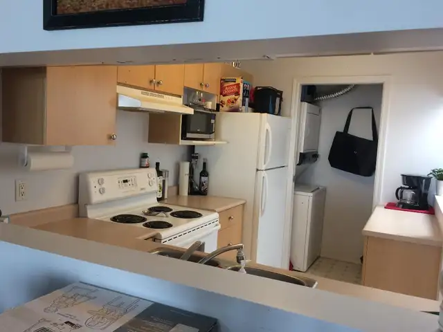 Spacious one-bedroom condo for rent in Aldergrove - Photo 5