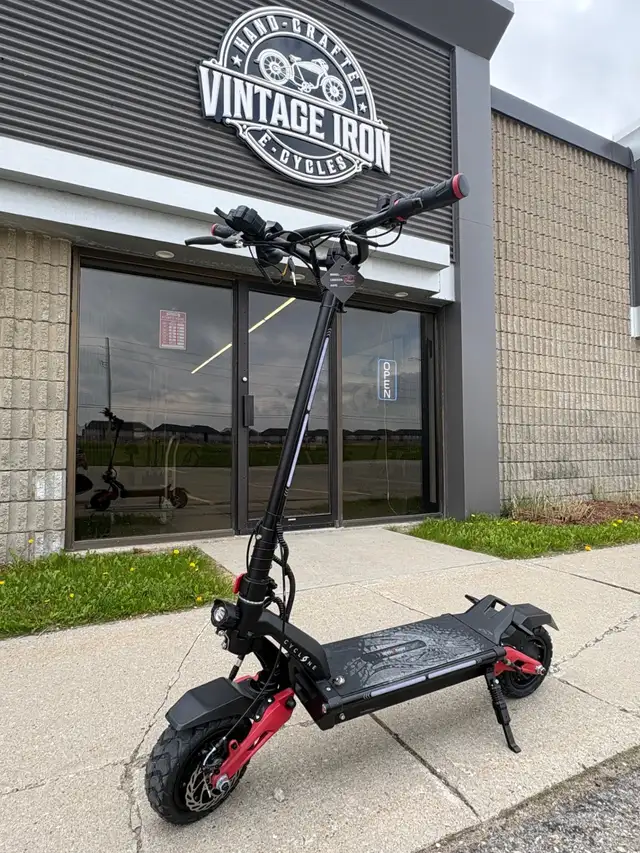 Synergy Cyclone Dual 1000W Electric Scooter