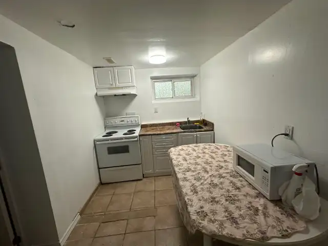 Large Basement Room at the intersection of Kingston Rd & Markham - Photo 3