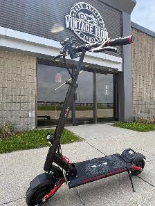 Synergy Aviator 2 Dual 600W Electric Scooter