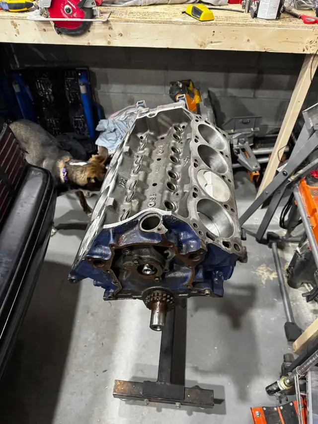 1988 Ford Mustang Project Car - Photo 7