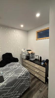 Basement room for rent, Near Trent University