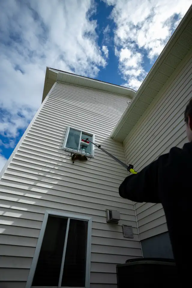 Professional Window Cleaning - Photo 5