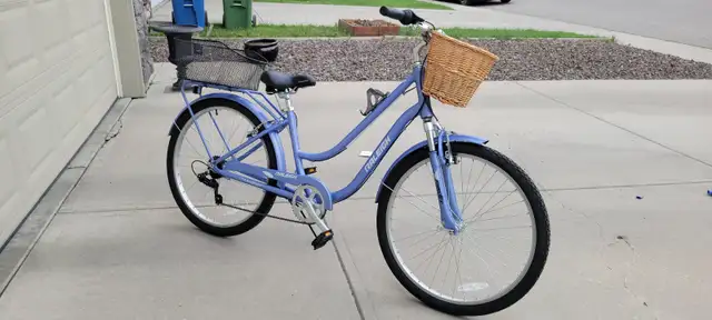 Raleigh Campus Comfort Bike – Excellent Condition