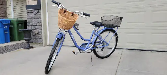 Raleigh Campus Comfort Bike – Excellent Condition - Photo 2