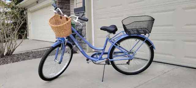 Raleigh Campus Comfort Bike – Excellent Condition - Photo 3