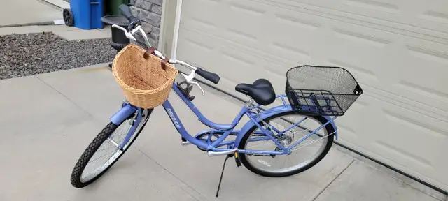 Raleigh Campus Comfort Bike – Excellent Condition - Photo 4