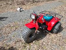 Trois roues honda 1984 - Photo 3