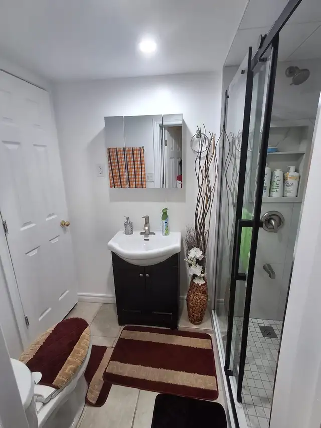 2 Bedroom Furnished Basement for Rent from June - Photo 4