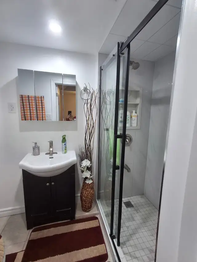 2 Bedroom Furnished Basement for Rent from June - Photo 5