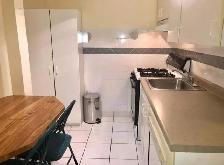 UNFURNISHED BACHERLOR APATMENT 1 BEDROOM 1 BATHROOM - Photo 9
