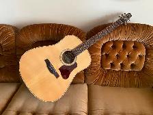 SEAGULL Coastline Momentum A/EHG Guitar w/electronics & Case