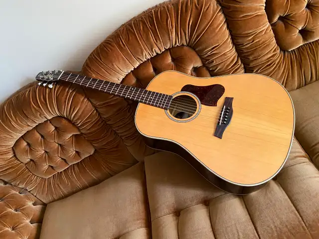 SEAGULL Coastline Momentum A/EHG Guitar w/electronics & Case - Photo 3