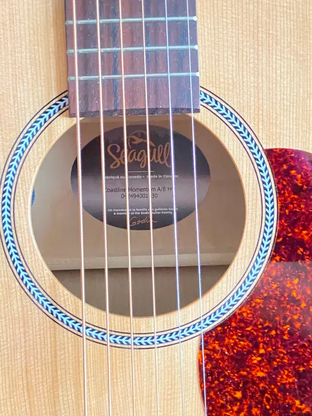 SEAGULL Coastline Momentum A/EHG Guitar w/electronics & Case - Photo 4