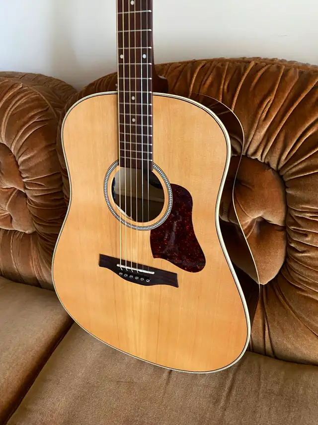 SEAGULL Coastline Momentum A/EHG Guitar w/electronics & Case - Photo 7