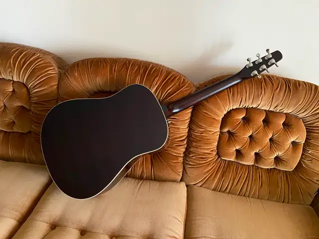 SEAGULL Coastline Momentum A/EHG Guitar w/electronics & Case - Photo 8
