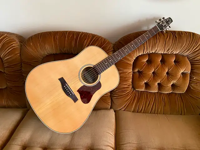 SEAGULL Coastline Momentum A/EHG Guitar w/electronics & Case - Photo 10