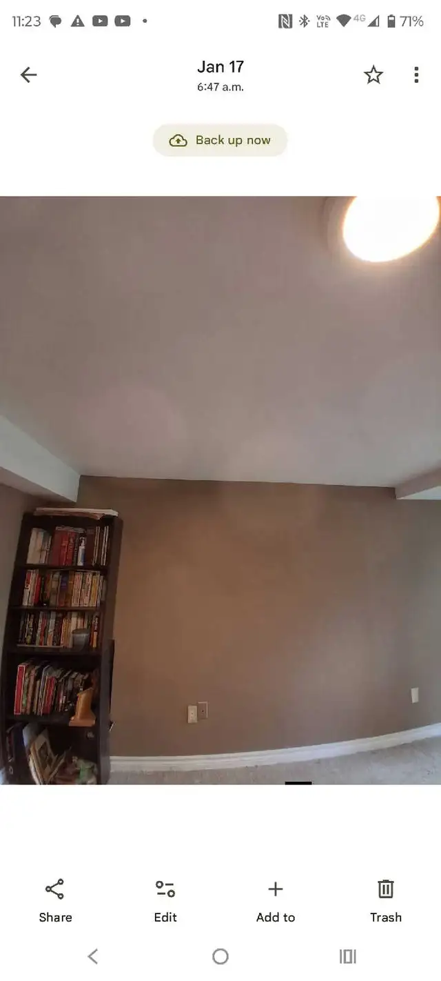 looking for landscaping work or any labour job - Photo 8