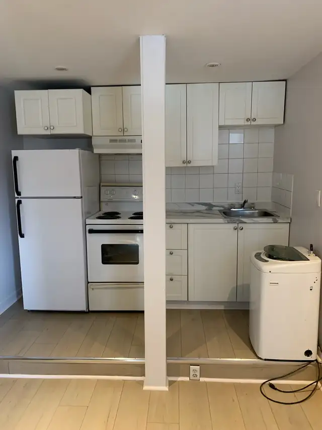 Dow’s Lake Little Italy apt for rent - Photo 5