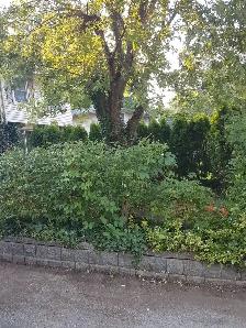 2 Furnished Rooms For Rent, FEMALE ONLY near Western Uni - Photo 9