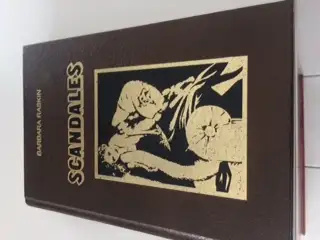 BON ROMAN NEUF DE BARBARA RASKIN, SCANDALES DE 325 PAGES: $5.00