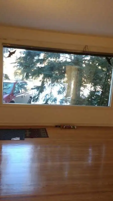Room for Rent near University of Alberta - Photo 8