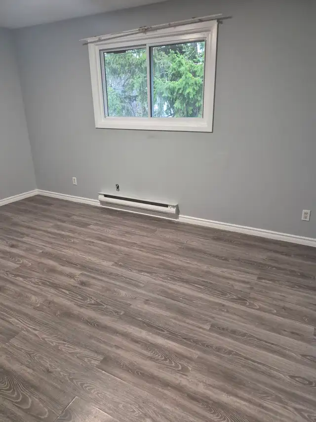 3 Bedrooms and 2 Washroom - Photo 4