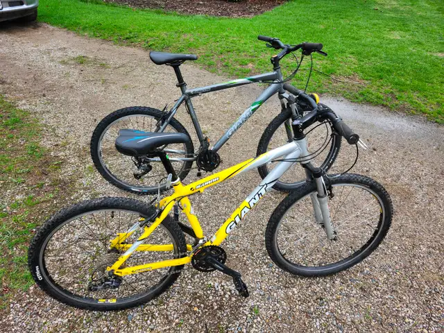 Adult Mountain Bikes For sale