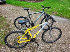 Adult Mountain Bikes For sale