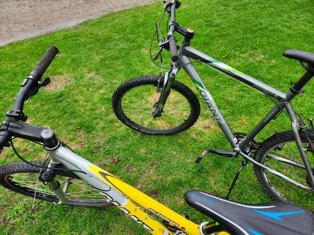 Adult Mountain Bikes For sale - Photo 10
