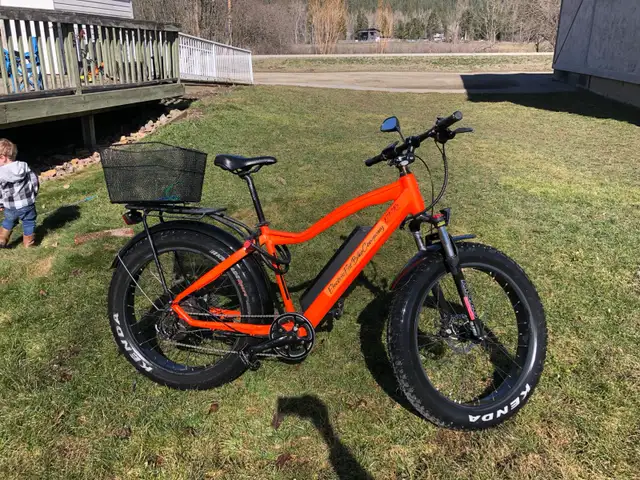 Electric Fat Bike Company e-bike