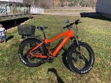 Electric Fat Bike Company e-bike