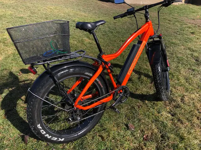 Electric Fat Bike Company e-bike - Photo 2