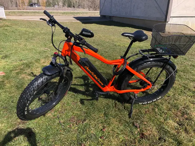Electric Fat Bike Company e-bike - Photo 3